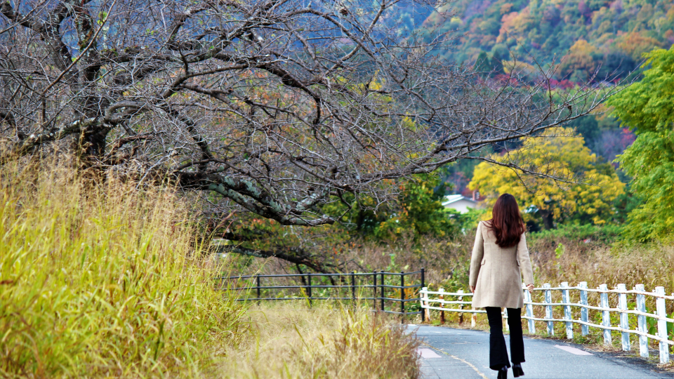 香川県探偵/アローリサーチ/コラム